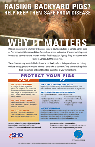 Small Scale Producer in Ontario Poster